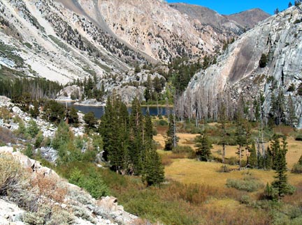 Barney Lake meadow