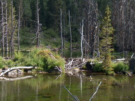 Beaver Dam