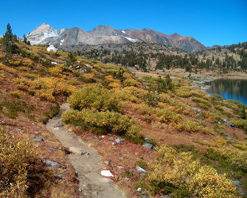 Meadow trail