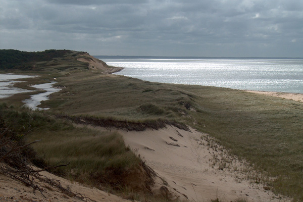 Great Island coast