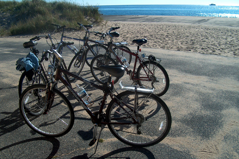 The bikes took us all over