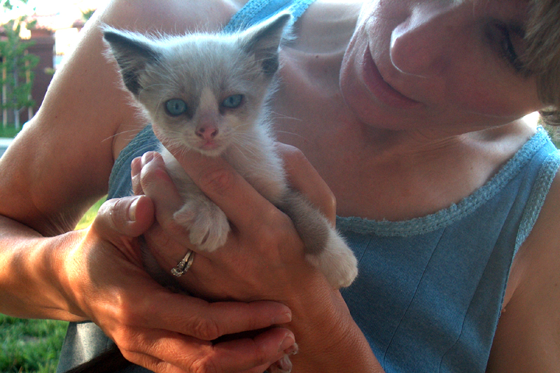 Liz with the white kitten