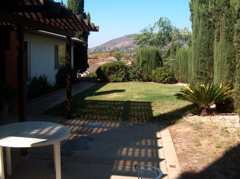 Yard with a view