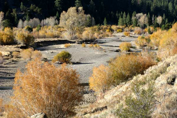 The dry streambed undulates beautifully before us