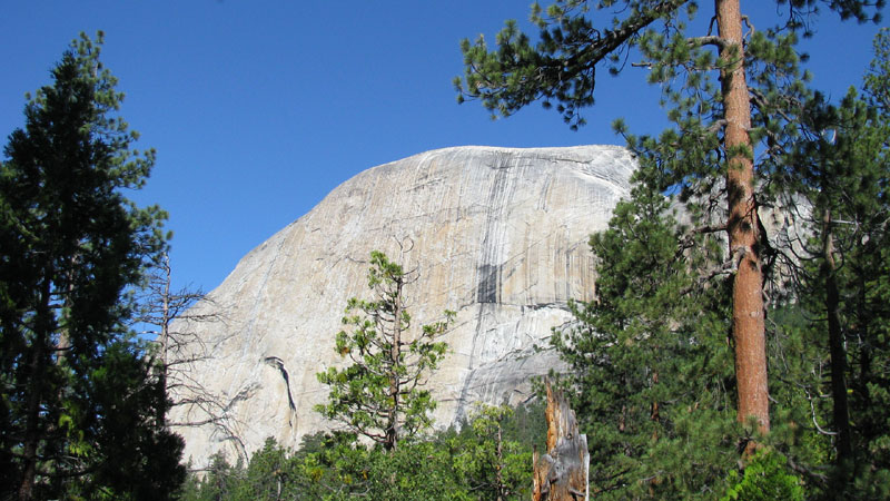 Half Dome appears through a break in the trees