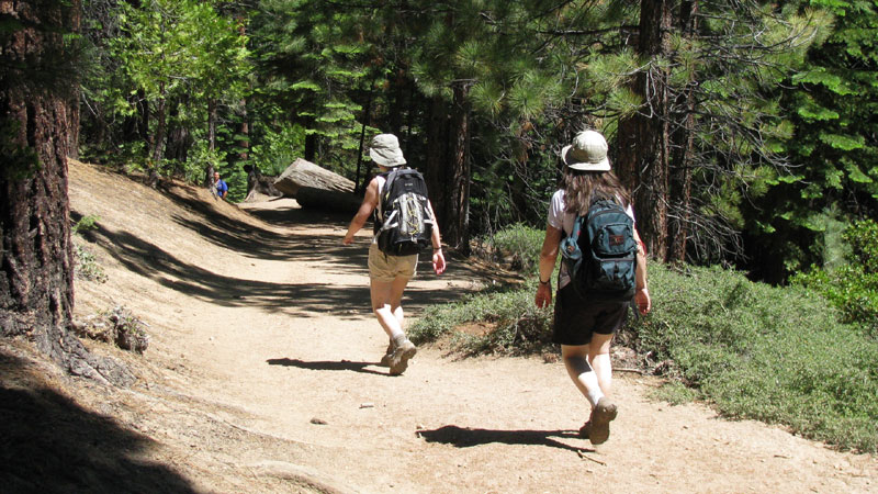 Hiking through the beautiful Yosemite forest