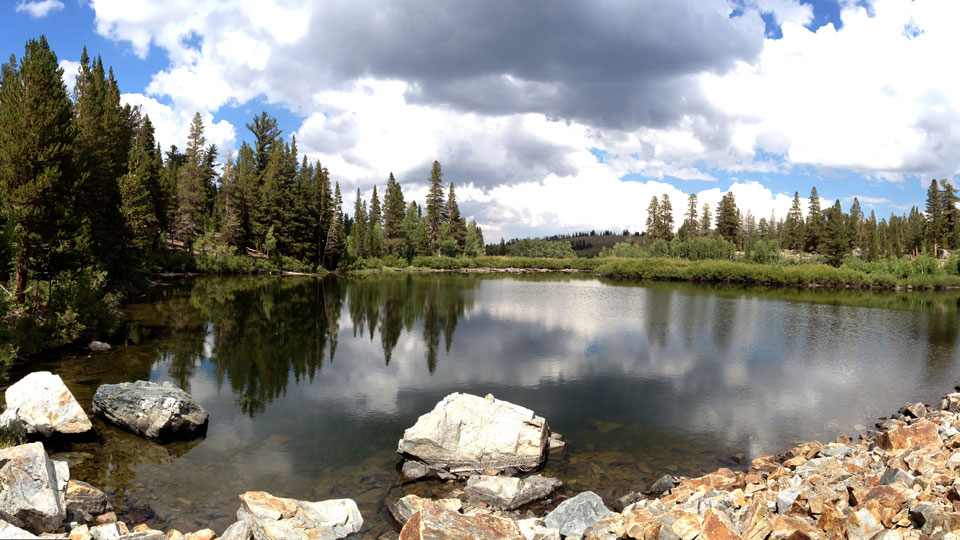 The lake with surrounding pines and puffy clouds