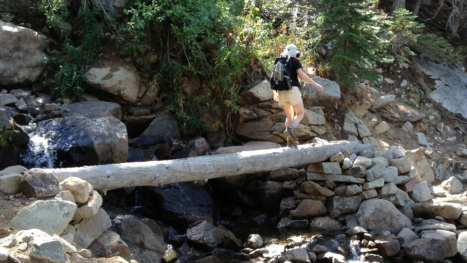 A long log bridges a stream