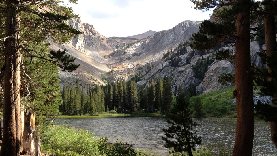 A lake in the foreground with pines and mountain peaks