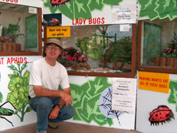 Insect Display