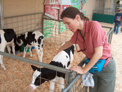 Petting a Calf